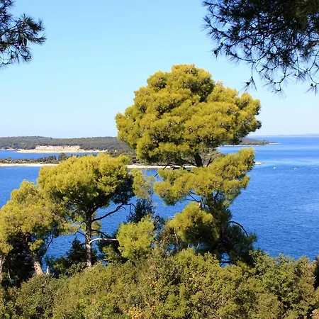 With Parking Space Stinjan, Pula - 7368 Appartamento Pola