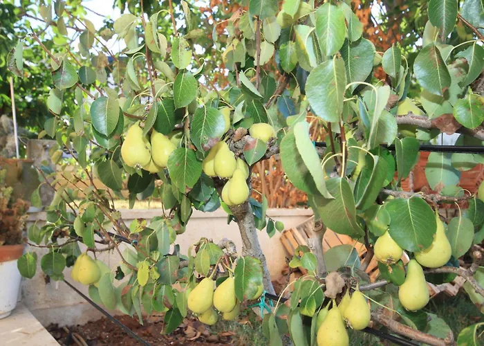 With Parking Space Stinjan, - 7368 Appartement *